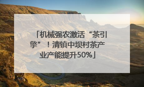 机械强农激活“茶引擎”！清镇中坝村茶产业产能提升50%