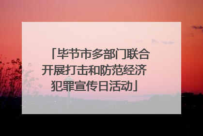 毕节市多部门联合开展打击和防范经济犯罪宣传日活动