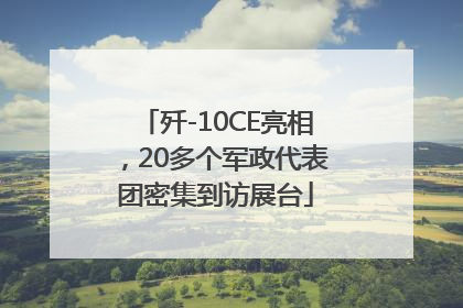 歼-10CE亮相，20多个军政代表团密集到访展台