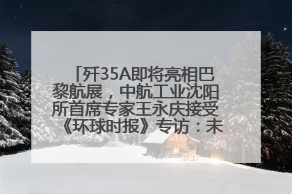 歼35A即将亮相巴黎航展，中航工业沈阳所首席专家王永庆接受《环球时报》专访：未来数量可以有很多