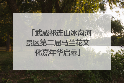 武威祁连山冰沟河景区第二届马兰花文化嘉年华启幕