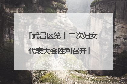 武昌区第十二次妇女代表大会胜利召开