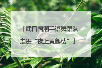武昌国潮手语舞蹈队走进“夜上黄鹤楼”
