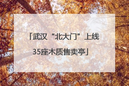 武汉“北大门”上线35座木质售卖亭
