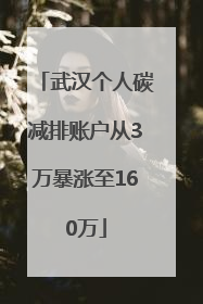 武汉个人碳减排账户从3万暴涨至160万