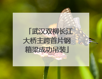 武汉双柳长江大桥主跨首片钢箱梁成功吊装