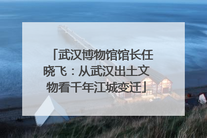 武汉博物馆馆长任晓飞：从武汉出土文物看千年江城变迁