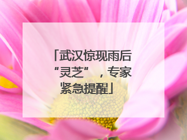 武汉惊现雨后“灵芝”，专家紧急提醒