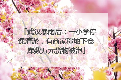 武汉暴雨后：一小学停课清淤，有商家称地下仓库数万元货物被泡