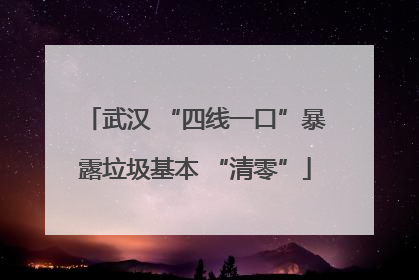 武汉 “四线一口”暴露垃圾基本 “清零”