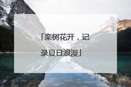 栾树花开，记录夏日浪漫