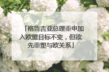 格鲁吉亚总理重申加入欧盟目标不变，但欲先重塑与欧关系