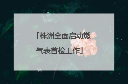 株洲全面启动燃气表首检工作