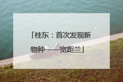 桂东：首次发现新物种——宽距兰