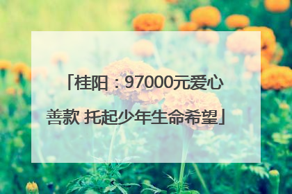 桂阳：97000元爱心善款 托起少年生命希望