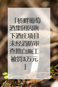 桥畔葡萄酒集团因旗下酒庄项目未经消防审查擅自施工被罚3万元