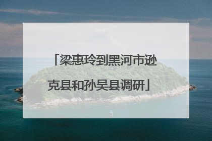 梁惠玲到黑河市逊克县和孙吴县调研