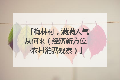 梅林村，满满人气从何来（经济新方位·农村消费观察）