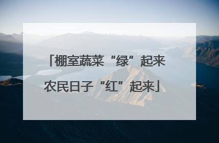 棚室蔬菜“绿”起来 农民日子“红”起来