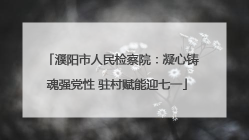 濮阳市人民检察院：凝心铸魂强党性 驻村赋能迎七一