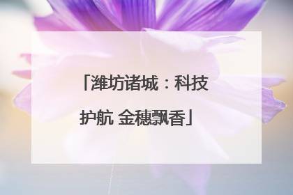 潍坊诸城：科技护航 金穗飘香