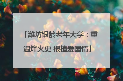 潍坊银龄老年大学：重温烽火史 根植爱国情