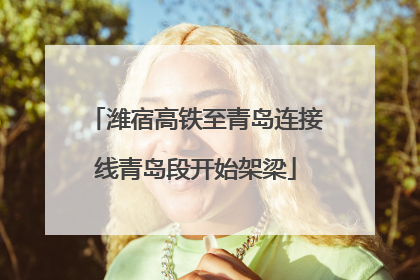 潍宿高铁至青岛连接线青岛段开始架梁