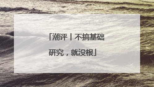 潮评丨不搞基础研究，就没根