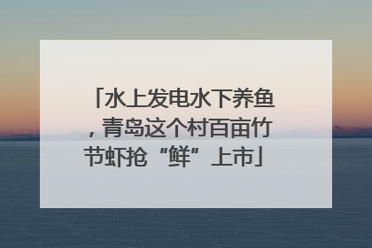 水上发电水下养鱼，青岛这个村百亩竹节虾抢“鲜”上市
