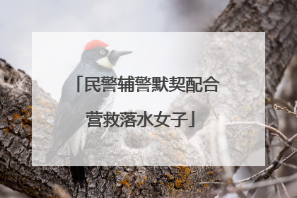 民警辅警默契配合 营救落水女子