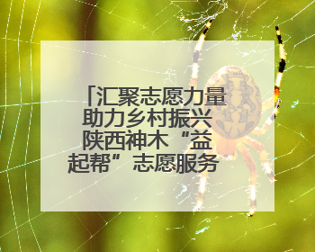 汇聚志愿力量 助力乡村振兴 陕西神木“益起帮”志愿服务项目成效显著