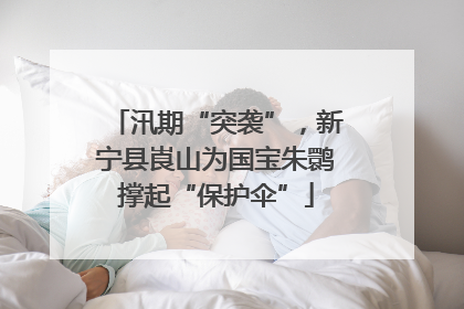 汛期“突袭”，新宁县崀山为国宝朱鹮撑起“保护伞”