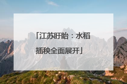 江苏盱眙：水稻插秧全面展开