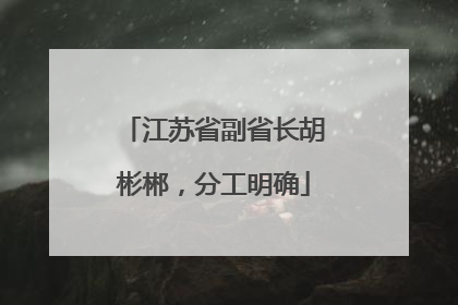 江苏省副省长胡彬郴，分工明确