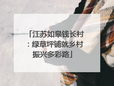 江苏如皋钱长村：绿草坪铺就乡村振兴多彩路