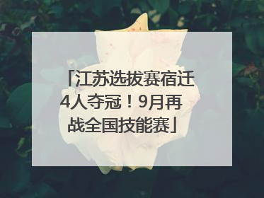 江苏选拔赛宿迁4人夺冠！9月再战全国技能赛