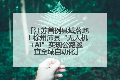 江苏首例县域落地！徐州沛县“无人机+AI”实现公路巡查全域自动化
