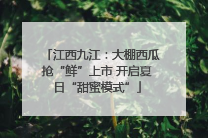 江西九江：大棚西瓜抢“鲜”上市 开启夏日“甜蜜模式”