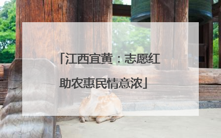 江西宜黄：志愿红助农惠民情意浓