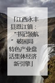 江西永丰县恩江镇：“书记领航”破困局 特色产业盘活集体经济新引擎
