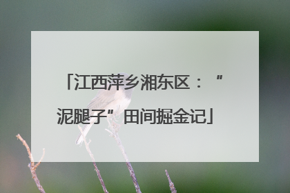 江西萍乡湘东区：“泥腿子”田间掘金记