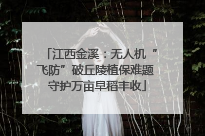 江西金溪：无人机“飞防”破丘陵植保难题 守护万亩早稻丰收
