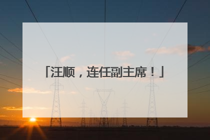 汪顺，连任副主席！