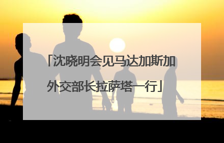 沈晓明会见马达加斯加外交部长拉萨塔一行