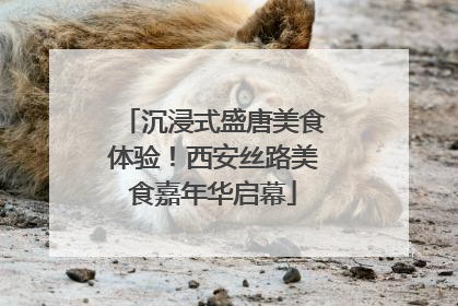 沉浸式盛唐美食体验！西安丝路美食嘉年华启幕