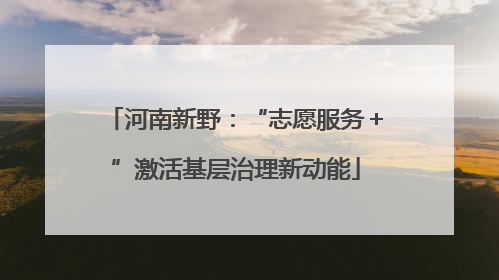 河南新野：“志愿服务＋”激活基层治理新动能