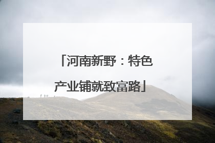 河南新野：特色产业铺就致富路