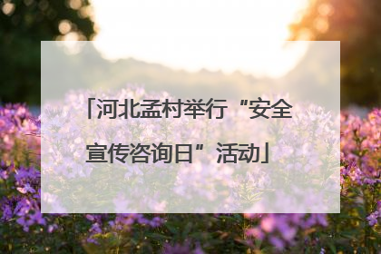 河北孟村举行“安全宣传咨询日”活动