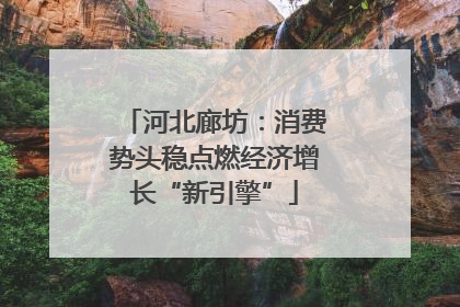 河北廊坊：消费势头稳点燃经济增长“新引擎”