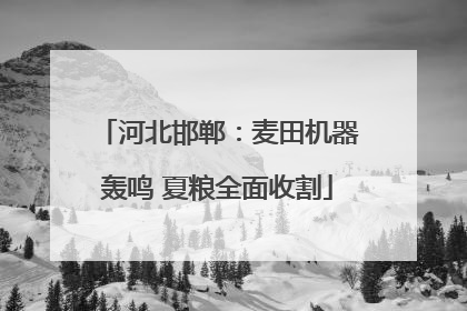 河北邯郸：麦田机器轰鸣 夏粮全面收割